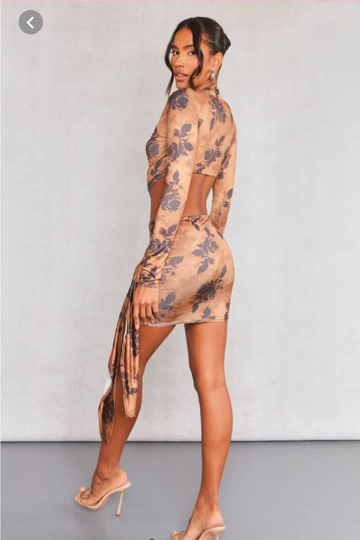 Light brown Blurred Rose print cut out long sleeve drape Dress.