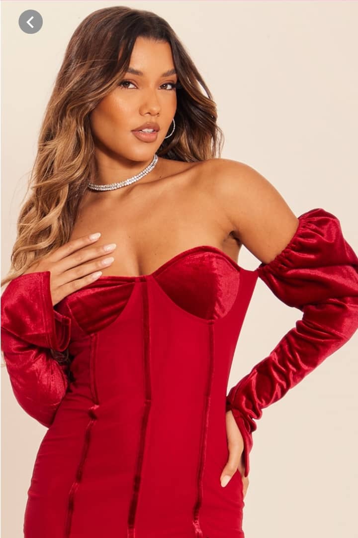 Dark Red Velvet Mesh corset detail long Sleeve dress.